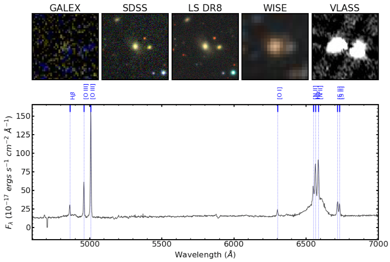 Figure 1 spectrum